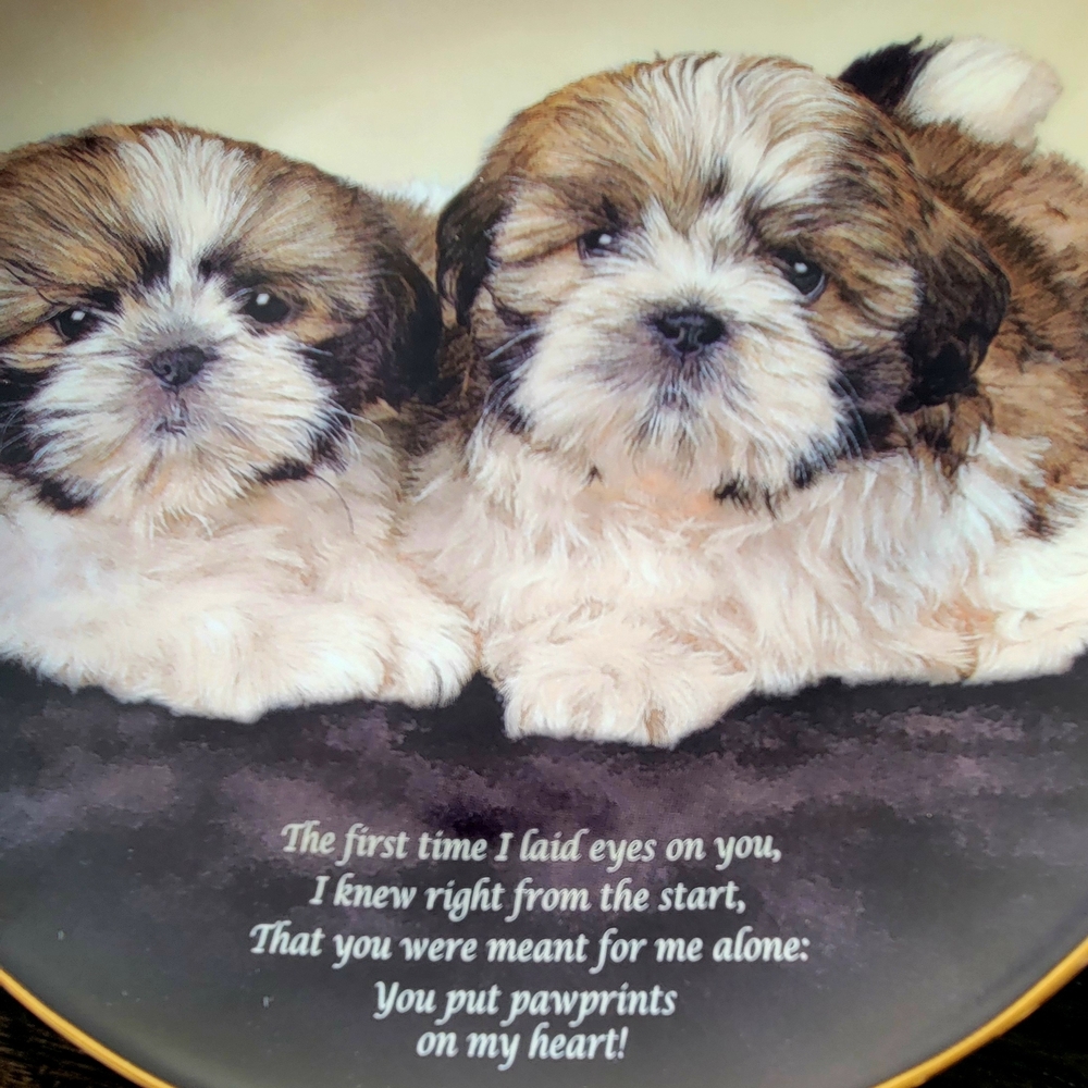 Set Of 2 Shih Tzu Decorative Plates